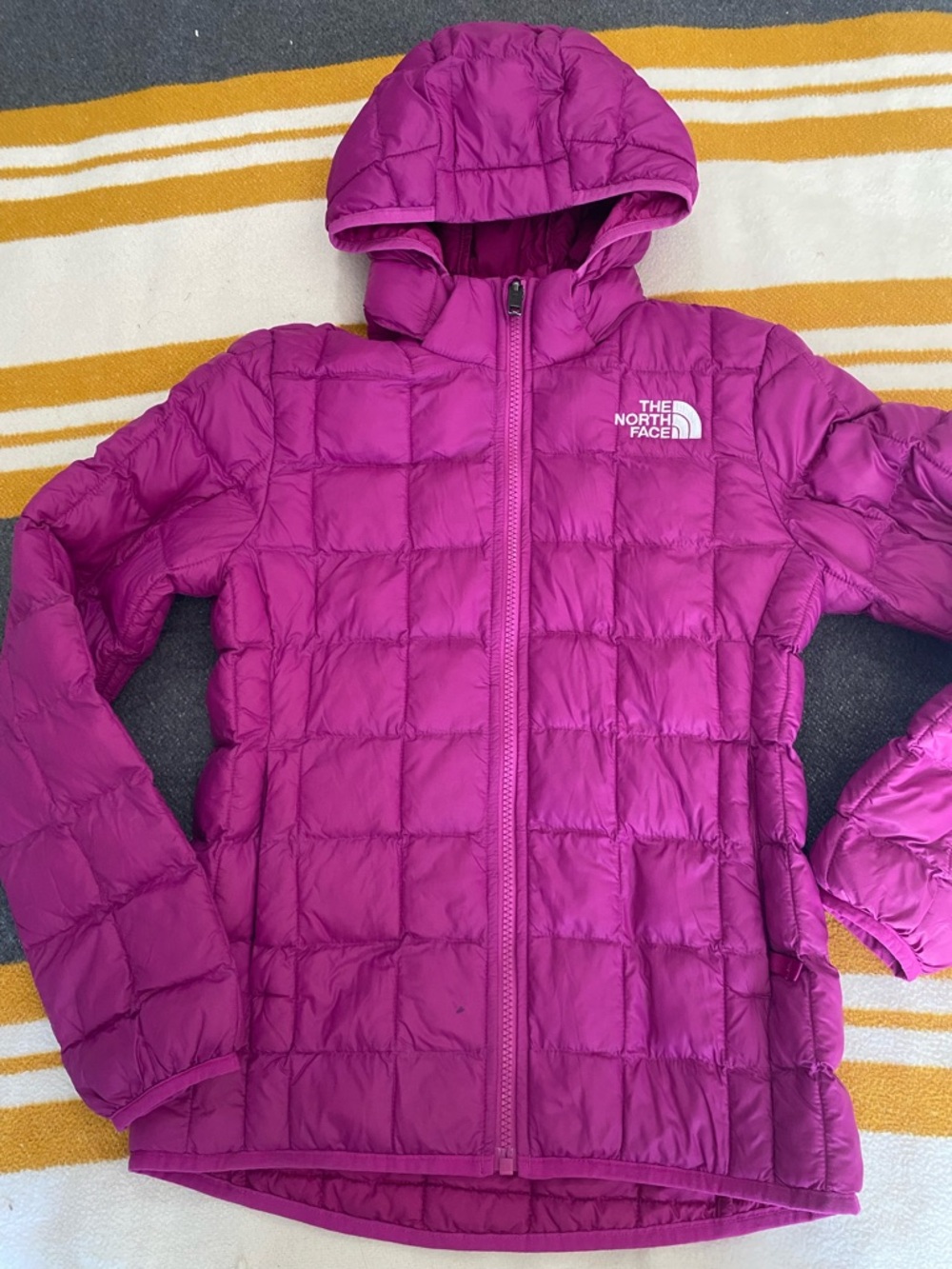 The North Face Hooded Puffer Jacket in Bright Pink